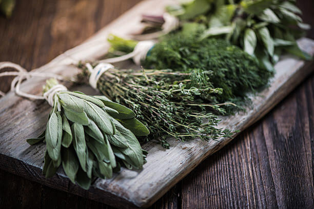 Erbe aromatiche Erbe aromatiche